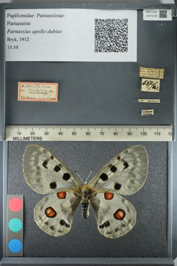 Media type: image;   Entomology 175120